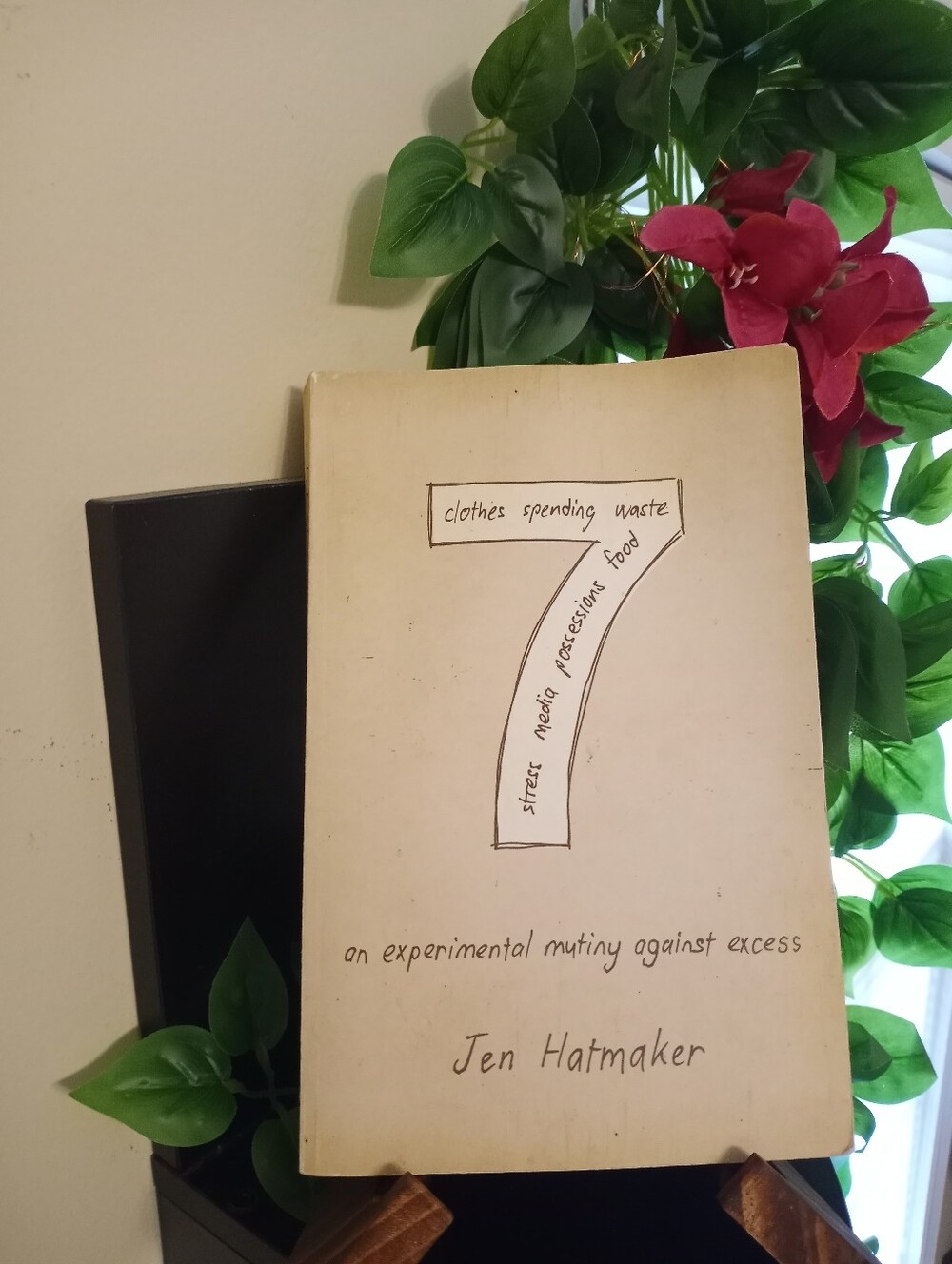 7: An Experimental Mutiny Against Excess by Jen Hatmaker